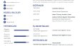 Göz Alıcı Cv Tasarımları 