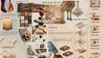 Paftalama ve Sunum Çalışması