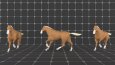 3D Animasyon Çalışmalarım