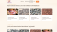 Kurumsal Web Sitesi Tasarımı