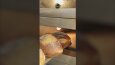 Tanıtım videoları