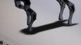 Nesne Tespit Edebilen Robot Köpek Projesi