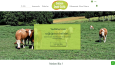 e-ticaret sitesi tasarımı