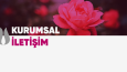 Sosyal Medya Tasarımlarım