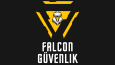 falcon güvenlik - konsept logo
