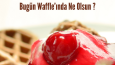 Waffle story tasarımı