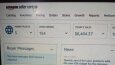 Amazon - Ebay - Etsy Danışmanı