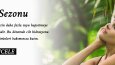 Profesyonel Banner Tasarımları | Web & Sosyal Medya