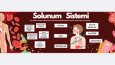 Grafik Tasarımı