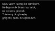 Birkaç örnek şiir.