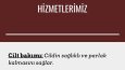 İstediğiniz türden Web Siteyi hiazmetinize sunuyorum