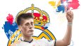 Fenerbahçe Illustrations Contents