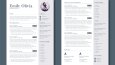 CV Tasarım Örnekleri