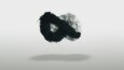 Logo Animation