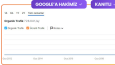 Seo Skorları