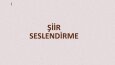 Ses örneklerim