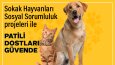 Sosyal Medya Post Tasarımları