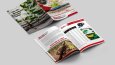 Broşür ve Katalog 