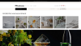 Kurumsal Website Tasarımı