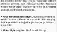 SEO makale- Blog içeriği
