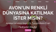 Web Tasarımları