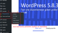 Wordpress Tema Yapımı