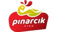 Kurumsal Logo Tasarımı