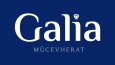 Logo Tasarımı