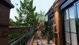 Villa Plan Tasarımı ve Cephe Çalışması