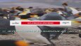 Youtube belgesel kanalı için yatay ve dikey videolar