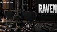 IRONWOOD — Electric Guitar Brand Identity