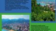 dergi tasarımı-magazine design