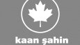 Logo, kartvizit, mockup