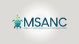 LOGO / LOGOTYPE