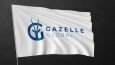 Gazelle Global Logo Tasarımı