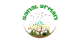 Logo Tasarımları