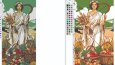 Socks Designer-Teknik Çorap Desinatörü 