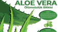 İnfografik