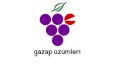 E-Spor takımımız için yaptığım eski logo çalışmalarım