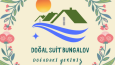 Sosyal Medya/Web Tasarım/E-ticaret