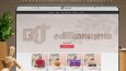 Web Tasarım Çalışmaları