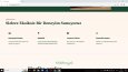 Hızlı Web Sitesi-1