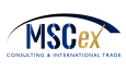 MSCex Consulting - Logo Tasarımı