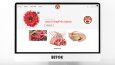 E-ticaret ve diğer web sitesi modülleri