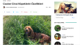 Wordpress Siteler