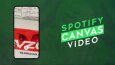 SPOTIFY CANVAS