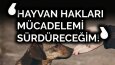 youtube kapak tasarım