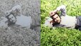 fotoğraf renklendirme
