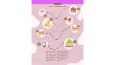 Etkileşimli Sunum & Infografik Denemeleri