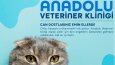 Etkileyici tanıtım çalışmaları yapabilirim.